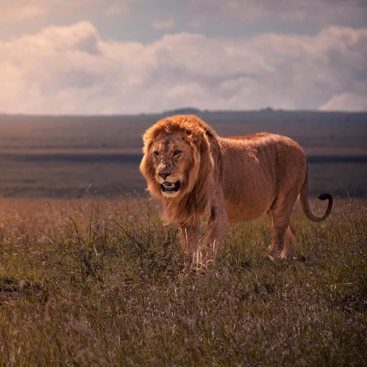 WhatsApp Image 2024-04-18 at 15.02.32_52f6e37d