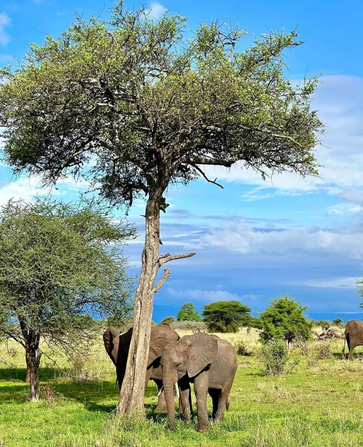 WhatsApp Image 2024-04-18 at 15.02.39_30911d78