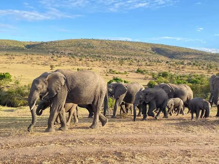 WhatsApp Image 2024-04-18 at 15.02.42_04289657